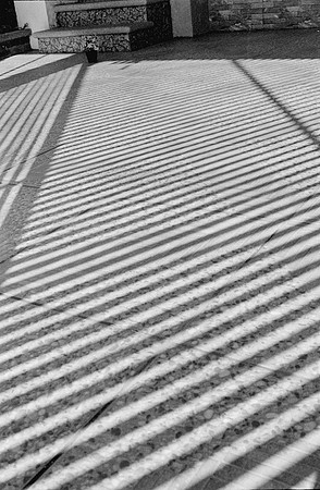 26 Fernando Peña - Ilford HP5 Plus 400 por Arca Film Lab (Agosto 2024) - Rollo 0246