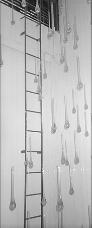 13 Lucía Paíz - Kodak TMax 400 por Arca Film Lab (Mayo 2024) - Rollo 0061