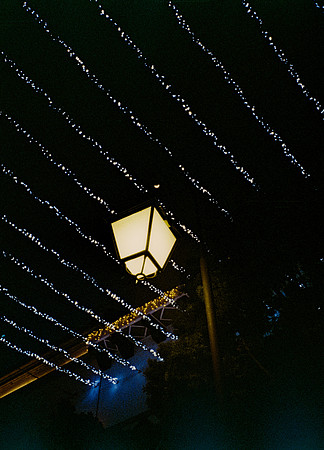 36 Steve Palma - Fujifilm 400 por Arca Film Lab (Enero 2025) - Rollo 0628