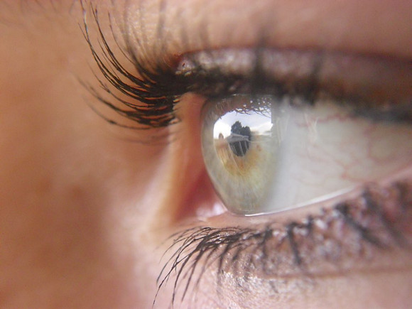ojo de sophie