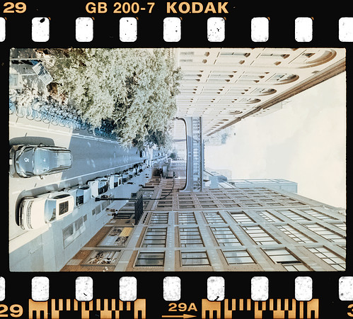 00033 Carlos León - Kodak Gols 200 - Arca Film Lab (Noviembre 2024) - Rollo 0450