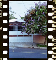19 Carlos Castro - Kodacolor 200 por Arca Film Lab (Junio 2025) - Rollo 1119