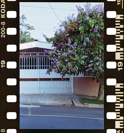 19 Carlos Castro - Kodacolor 200 por Arca Film Lab (Junio 2025) - Rollo 1119