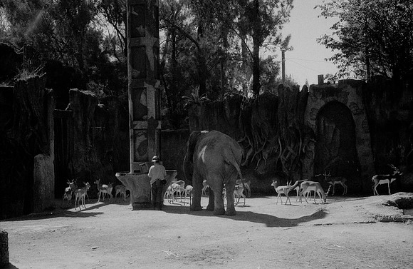 20 Kristel Calderón - Kentmere Pan 400 por Arca Film Lab (Enero 2025) - Rollo 0640