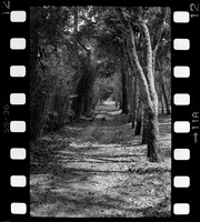 11 Omar Véliz - Neopan SS 100 por Arca Film Lab (Agosto 2024) - Rollo 0301