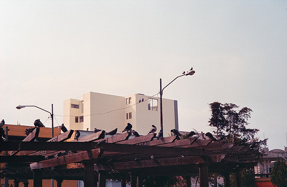 15 Kristel Calderón - Lomography 400 por Arca Film Lab (Agosto 2024) - Rollo 0290