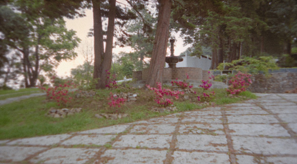 11 Alexander Daum - Fujifilm 400 por Arca Film Lab (Abril 2025) - Rollo 0893