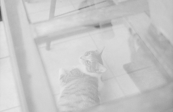 15 Valeria Minera - Kentmere Pan 400 por Arca Film Lab (Abril 2025) - Rollo 0960