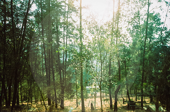 04 Fabriccio Díaz - Fujichrome Provia 100F por Arca Film Lab (Junio 2024) - Rollo 0046