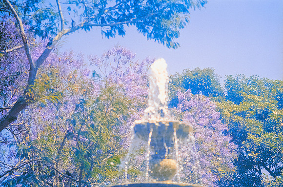 13 Ronald Ottoniel - Fujifilm 400 por Arca Film Lab (Febrero 2025) - Rollo 0867