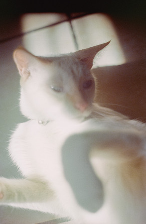25 Abraham Castillo - Fujifilm 400 por Arca Film Lab (Junio 2025) - Rollo 1118