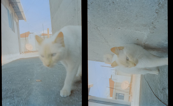 14 David Rosales - Cinestill 800T por Arca Film Lab (Agosto 2024) - Rollo 0293