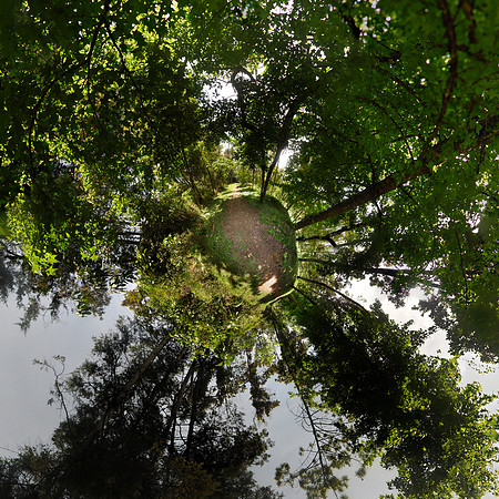 Bosque Posada del Quetzal