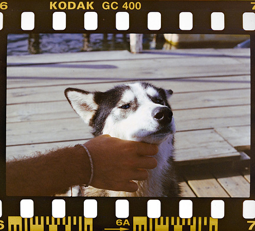 08 Yasemin Topcan - Kodak Ultramax 400 por Arca Film Lab (Octubre 2024) - Rollo 0391