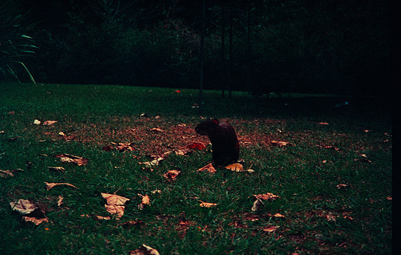 01 Natalia Mendoza - Harman Phoenix 200 por Arca Film Lab (Marzo 2025) - Rollo 0806