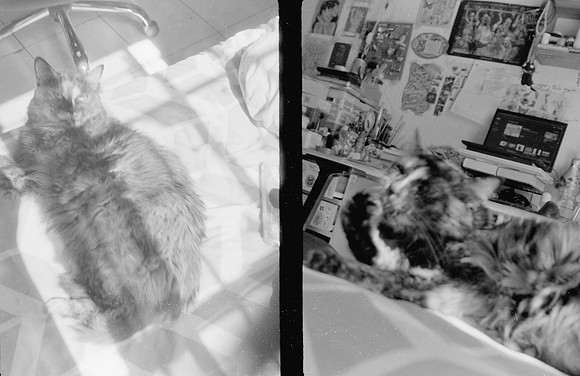 21 Natalia Mendoza - Kentmere Pan 400 por Arca Film Lab (Enero 2025) - Rollo 0696