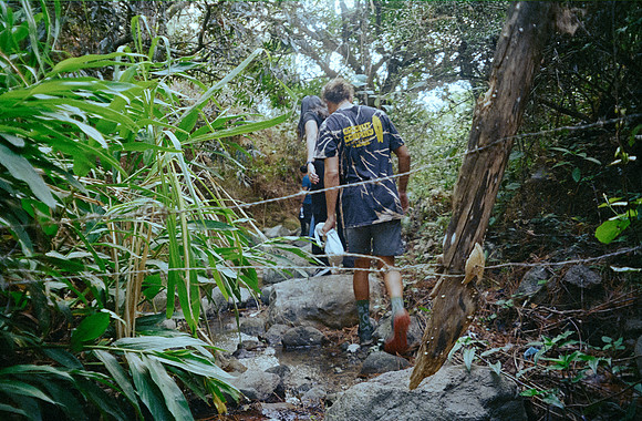 33 Javier Díaz - Kodak Gold 200 por Arca Film Lab (Febrero 2025) - Rollo 0721