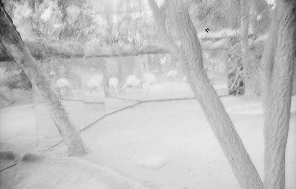 04 Kristel Calderón - Kentmere Pan 400 por Arca Film Lab (Enero 2025) - Rollo 0640