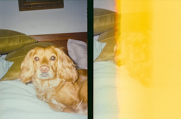01 Marcela Fernández - Kodak Ultramax 400 por Arca Film Lab (Febrero 2025) - Rollo 0786