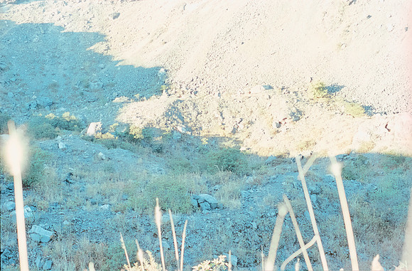 34 Gerardo Recinos - Kodak Aerocolor IV por Arca Film Lab (Abril 2025) - Rollo 0938