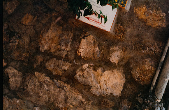 19 Guillermo López - Fujifilm 200 por Arca Film Lab (Octubre 2024) - Rollo 0412