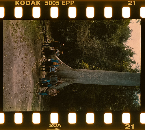 00023 Pablo Marroquín - Kodak Ektachrome 100 - Arca Film Lab (Noviembre 2024) - Rollo 0455
