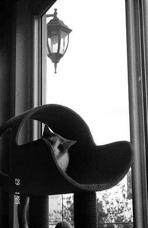 08 María Paula González - Kentmere Pan 400 por Arca Film Lab (Abril 2025) - Rollo 0903