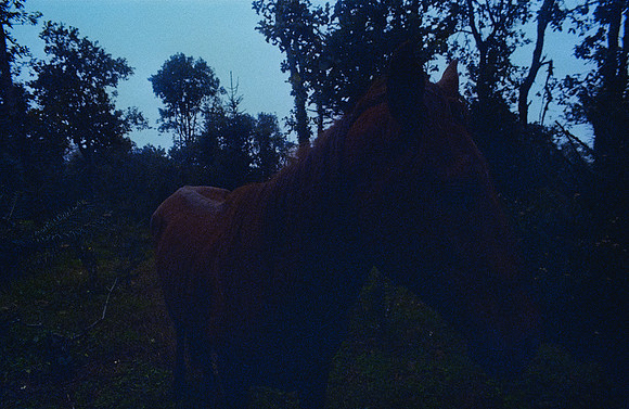 14 Andrés Mazariegos - Kodak Ultramax 400 por Arca Film Lab (Noviembre 2024) - Rollo 0517