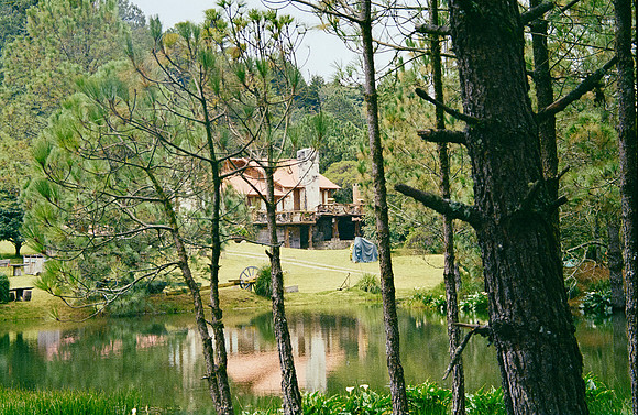 36 José Pérez - Kodak Gold 200 por Arca Film Lab (Enero 2025) - Rollo 0641