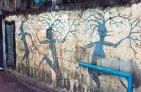 13 Jasmin Bouchard - Lomography Turquoise por Arca Film Lab (Octubre 2024) - Rollo 0403