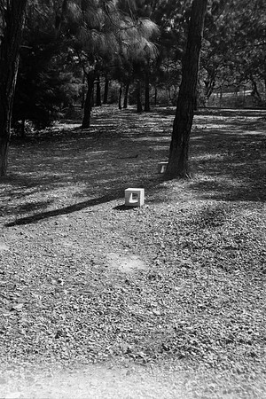 16 Iván Ortíz - Ilford Panf Plus 50 por Arca Film Lab (Abril 2024)