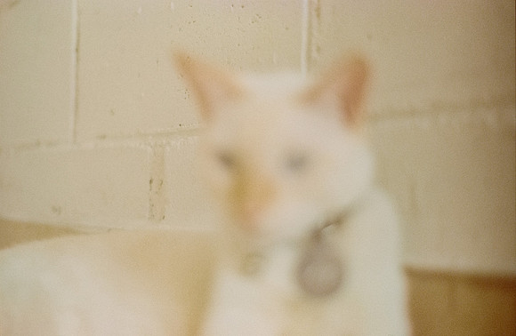 20 Abraham Castillo - Fujifilm 400 por Arca Film Lab (Junio 2025) - Rollo 1118