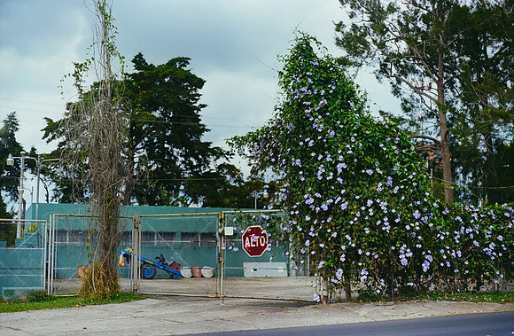 32 Josué Ibarra - Fujifilm 400 por Arca Film Lab (Mayo 2025) - Rollo 1055