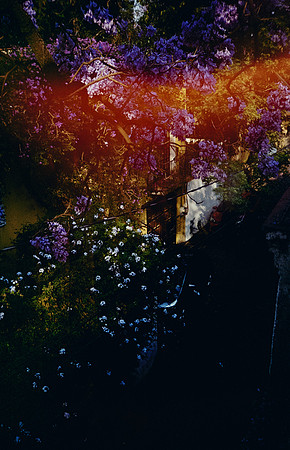03 Gabriela Retana - Kodak Gold 200 por Arca Film Lab (Mayo 2025) - Rollo 1013