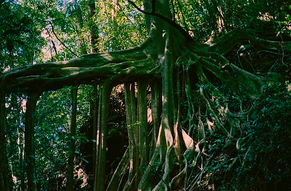 21 Karen Lucía Lara - Candido 200 por Arca Film Lab (Marzo 2025) - Rollo 0793
