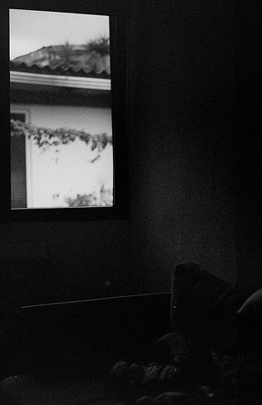 01 Alexander Daum - Ilford HP5+ 400 por Arca Film Lab (Noviembre 2024) - Rollo 0511