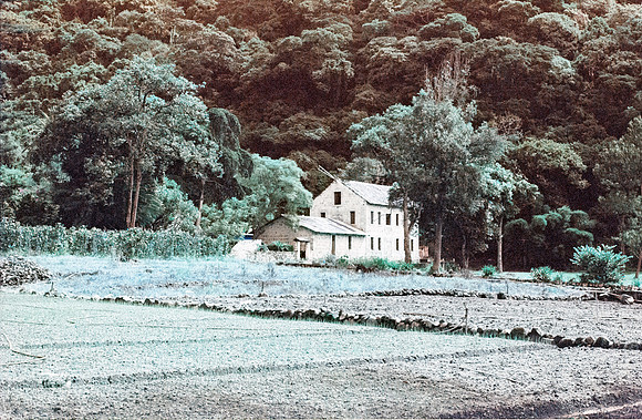 12 Jasmin Bouchard - Lomography Turquoise por Arca Film Lab (Octubre 2024) - Rollo 0403