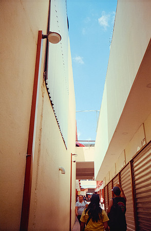 24 Daniela Saavedra - Fujifilm 400 - Arca Film Lab (Septiembre 2024) - Rollo 0340