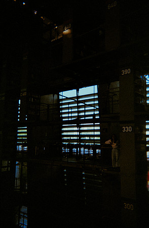 02 Elliot Morales - Fujifilm 400 por Arca Film Lab (Diciembre 2024) - Rollo 0557
