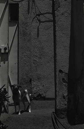 05 Isabel Fuentes - Arista 400 por Arca Film Lab (Agosto 2024) - Rollo 0242