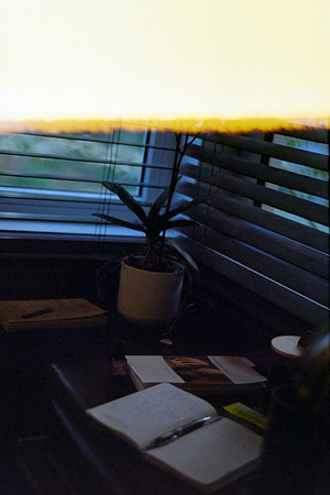 01 Guillermo López- Fujifilm 200 por Arca Film Lab (Abril 2024)