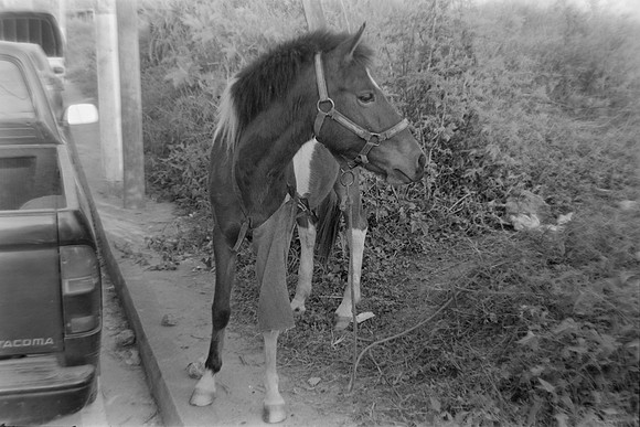08 Pablo Josué Noack - Ilford HP5 Plus 400 por Arca Film Lab (Mayo 2024) - Rollo 0077