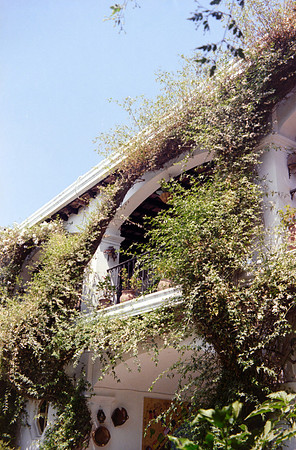 36 Jorge Iboy Kodak Gold por Arca Film Lab (Mayo 2024) - Rollo 0087