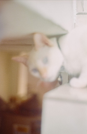 11 Abraham Castillo - Fujifilm 400 por Arca Film Lab (Junio 2025) - Rollo 1118