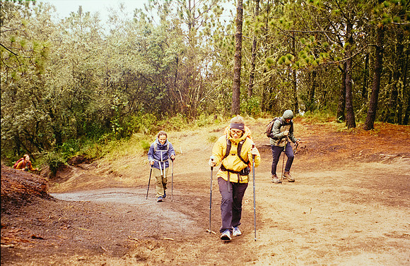 15 Carlota Benet - Kodak Ultamax 400 por Arca Film Lab (Enero 2025) - Rollo 0610