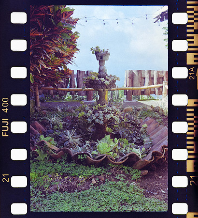 22 Erick Sandoval - Fujifilm 400 por Arca Film Lab (Septiembre 2024) - Rollo 0353