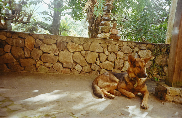 21 Javier Díaz - Kodak Gold 200 por Arca Film Lab (Febrero 2025) - Rollo 0722