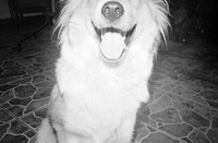 19 Tato Pernillo Ilford XP2 400 - Arca Film Lab (Junio 2025) por - Rollo 1151