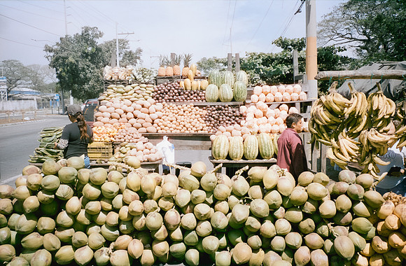 31 Rafael Peyré - Cinestill 50D por Arca Film Lab (Marzo 2025) - Rollo 0835