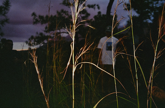 14 Javier Díaz - Kodak Gold 200 por Arca Film Lab (Febrero 2025) - Rollo 0722
